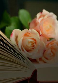 Assistência Programada